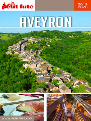 cover image of AVEYRON 2019/2020 Petit Futé